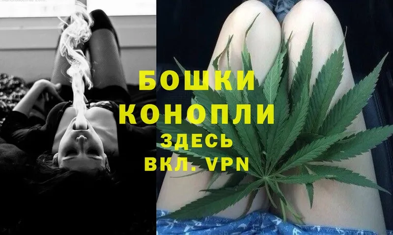 Бошки Шишки White Widow  Великий Новгород 